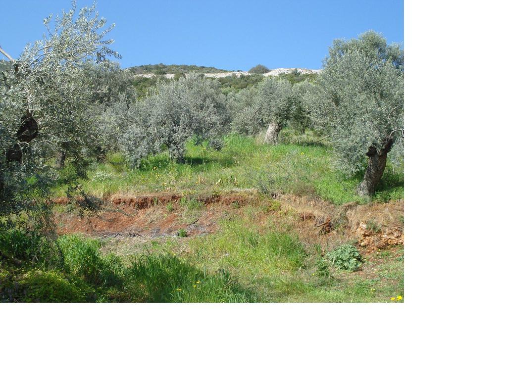 Athina Ecofarm Apartamento Epidaurus Exterior foto