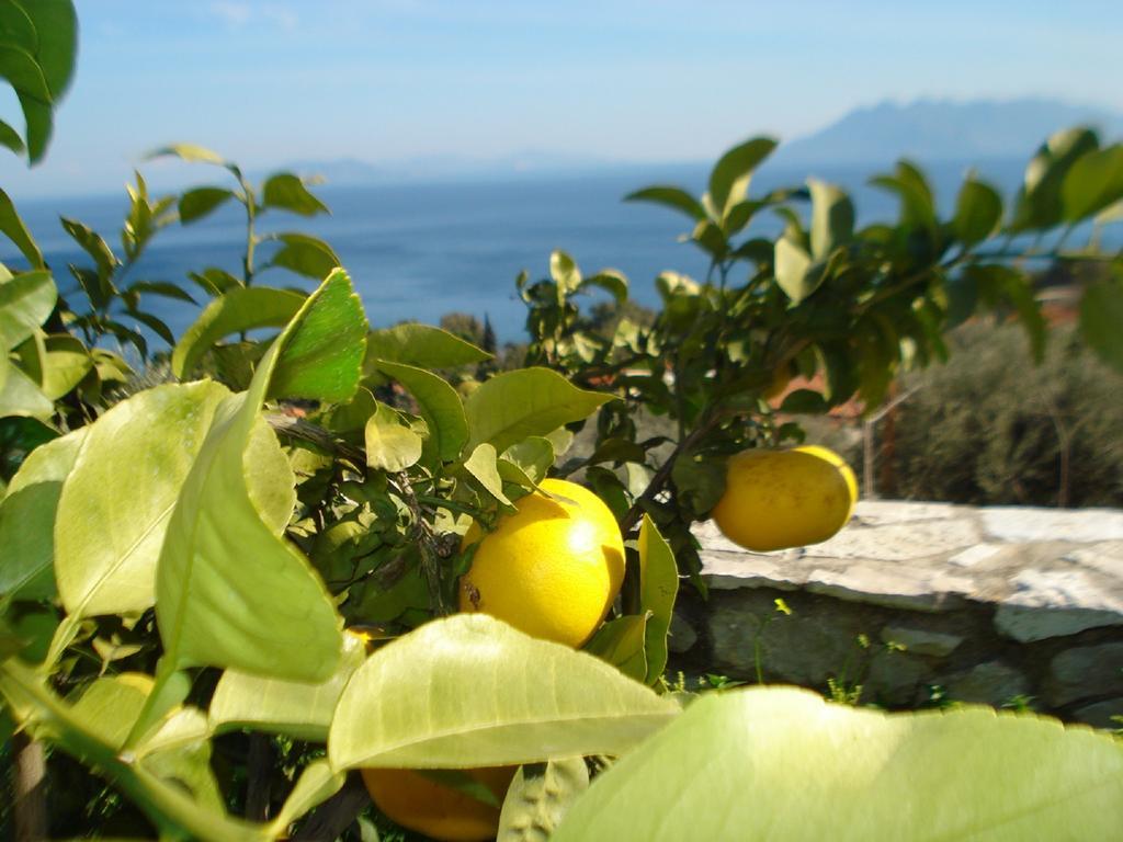 Athina Ecofarm Apartamento Epidaurus Exterior foto