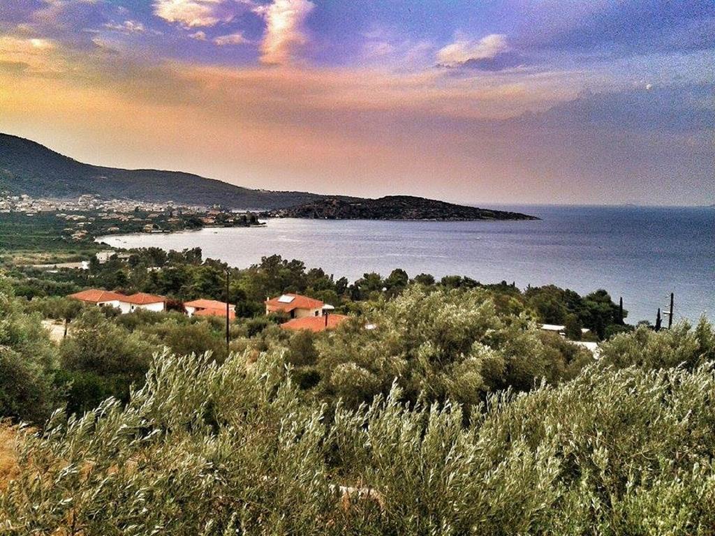 Athina Ecofarm Apartamento Epidaurus Exterior foto